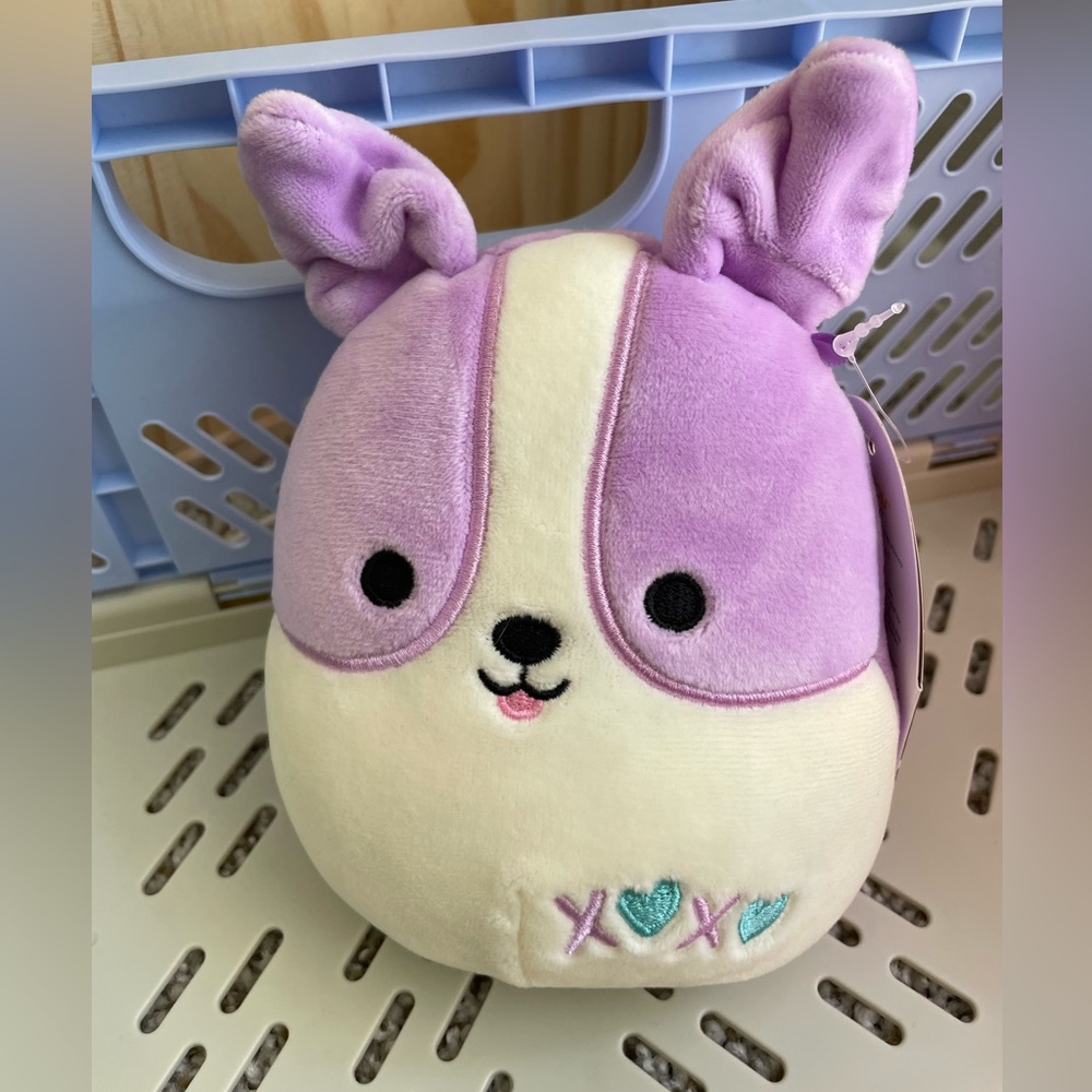 Regina Corgi Squishmallow 5”
